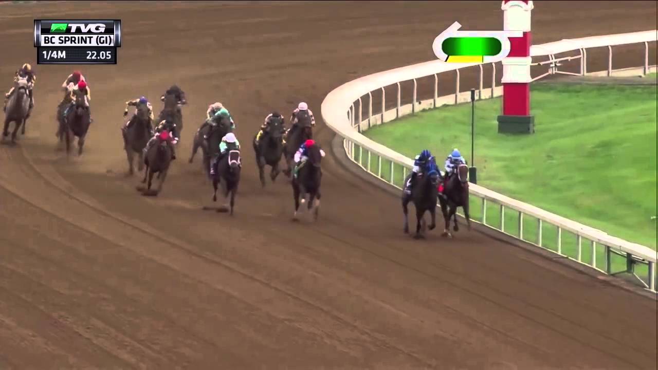Run Happy's Breeders' Cup Sprint Win