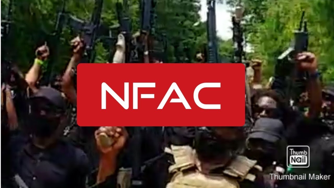 NFAC marched through the home of the KKK in Stone Mountain , GA