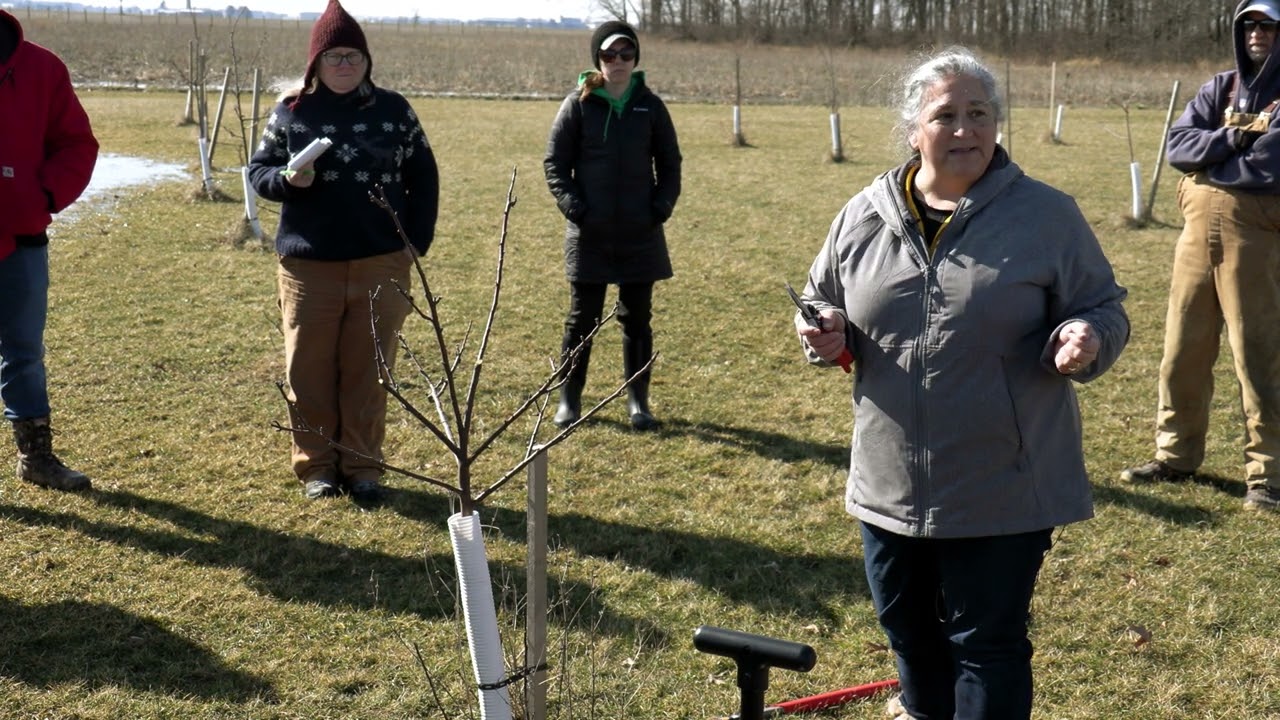 Central State University Extension Presents Tree Pruning Seminar