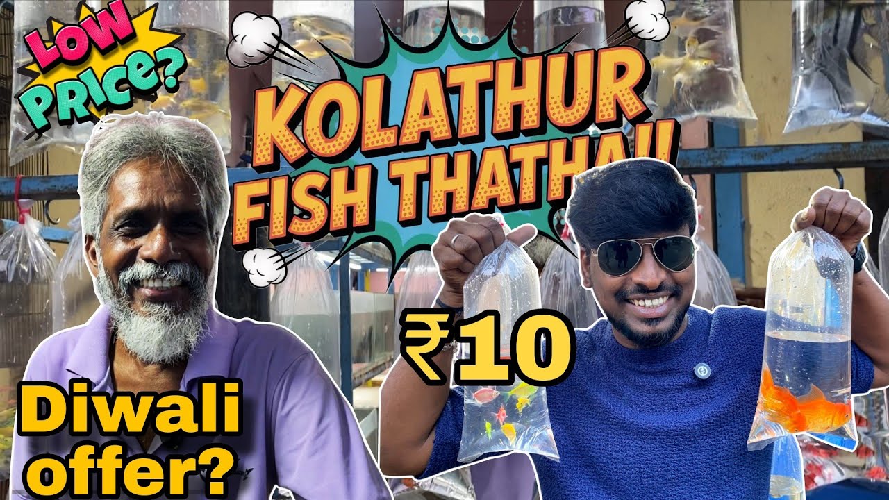 Kolathur Pocket Fish Thatha 2025 🤩 | Chennai’s Biggest Exotic Pet Market 🛍️🐦🐠 