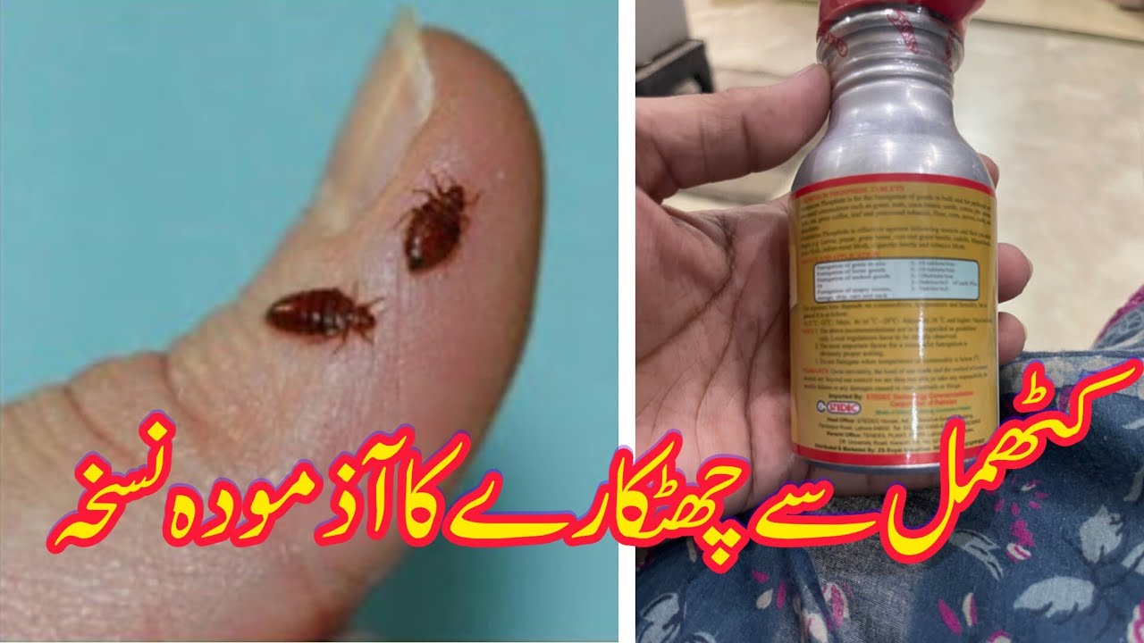 Get Rid of bed bugs forever ||کھٹمل  بھگانے کا اس سے بہتر طریقہ کوئی نہیں سب آزما لیا || fumigation