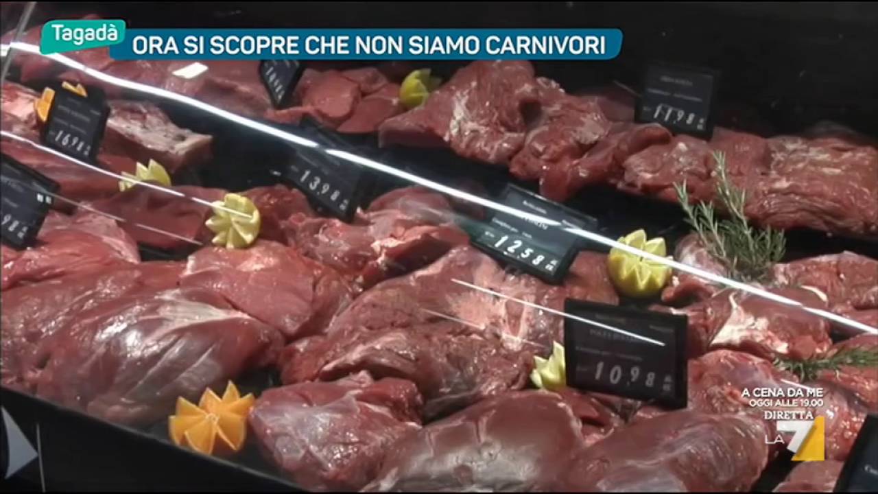 Ora si scopre che non siamo carnivori