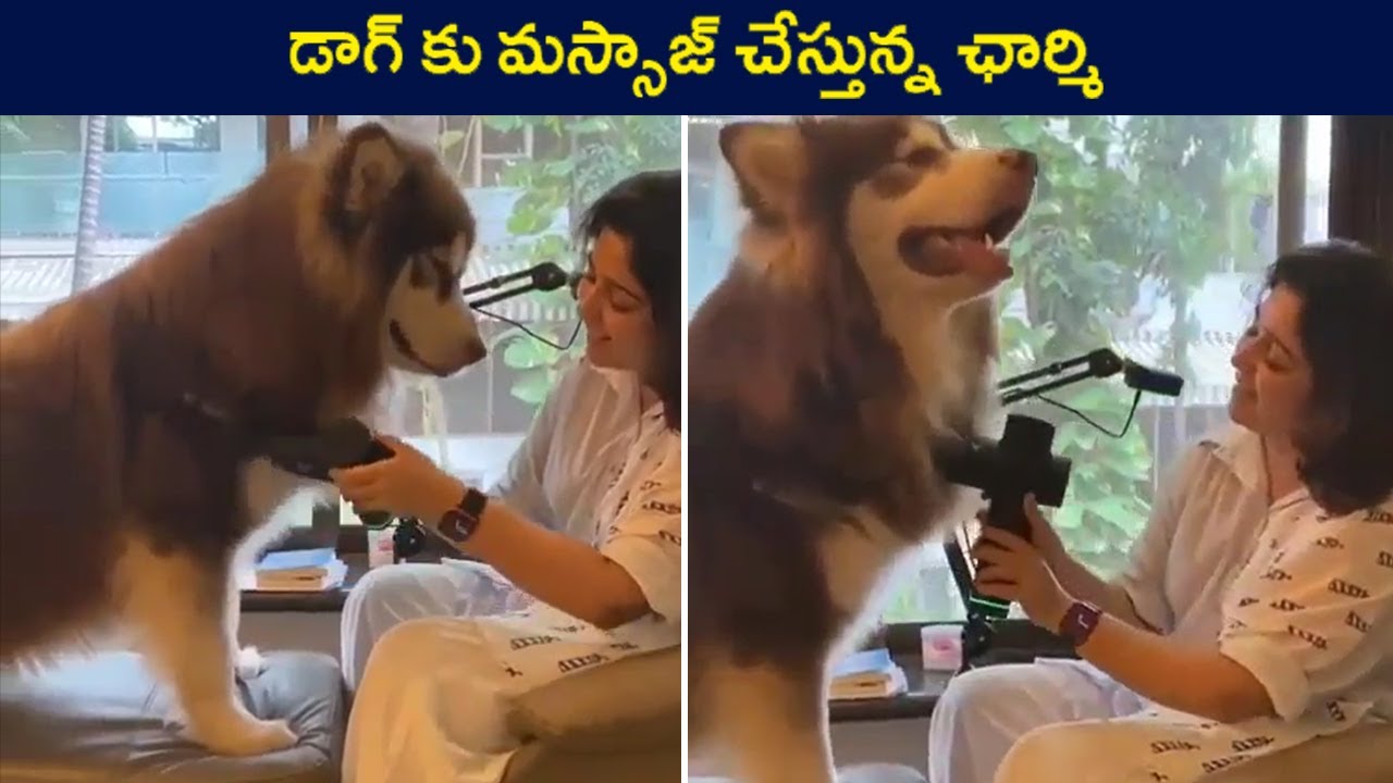 Charmme Kaur Giving Massage to Het Pets | Actress Charmi Kaur | Rajshri Telugu