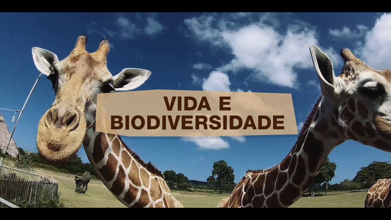 Biodiversidade - Parte III: Vida e Biodiversidade