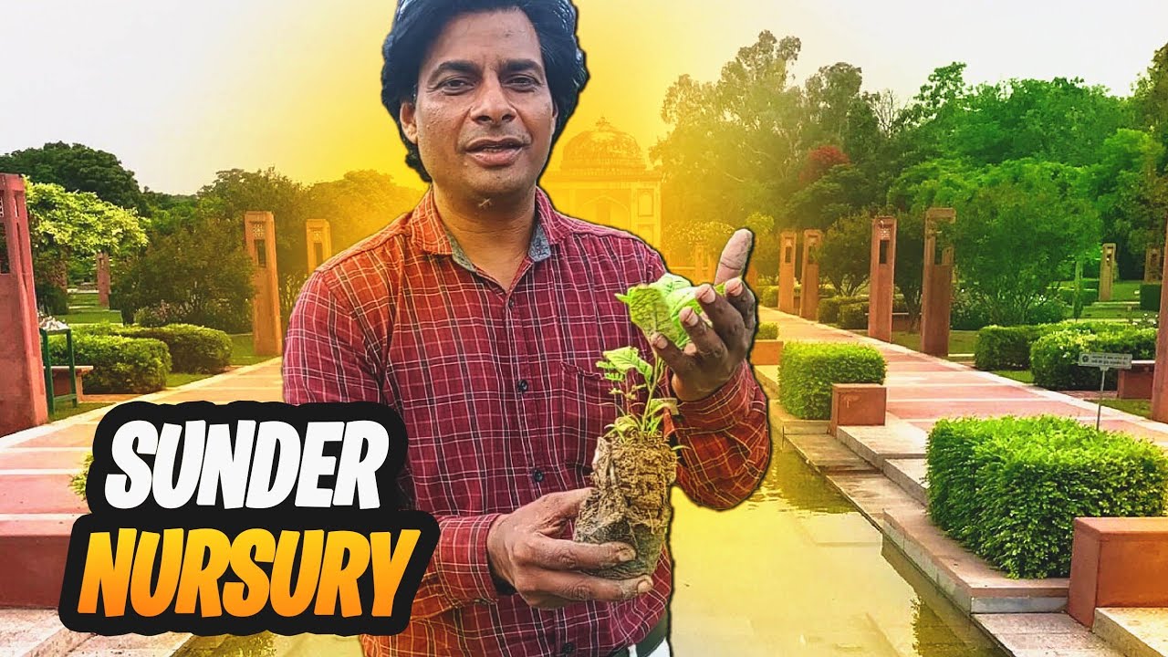 Sunder Nursery Delhi | best park for family picnic in delhi | Delhi Heritage Park | sundar nursery