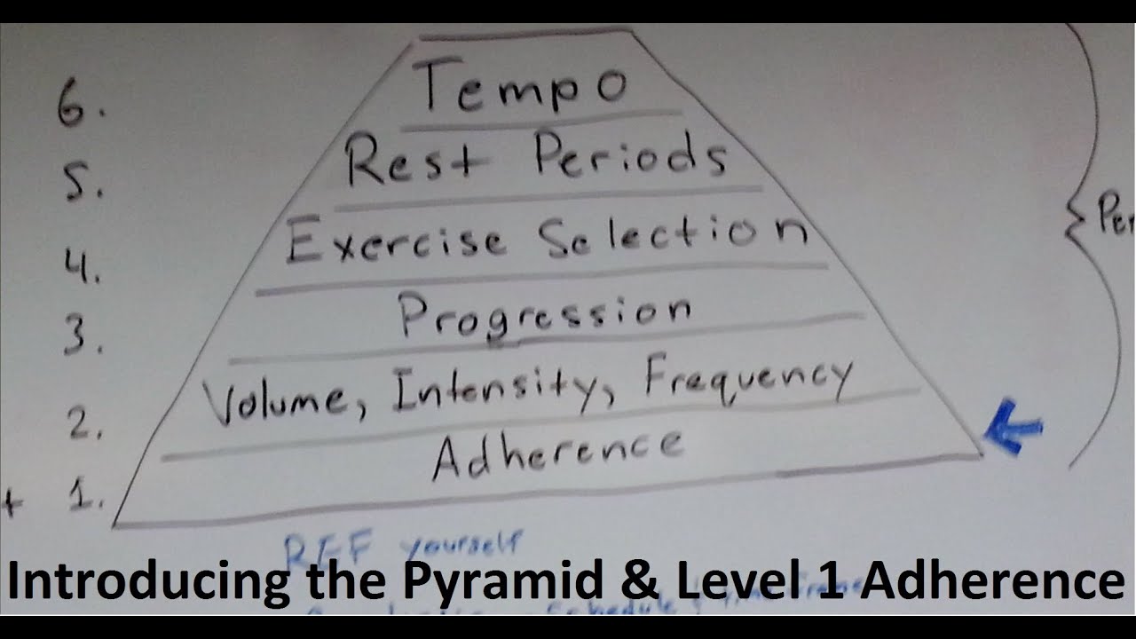 Muscle and Strength Training Pyramid Level 1 and intro