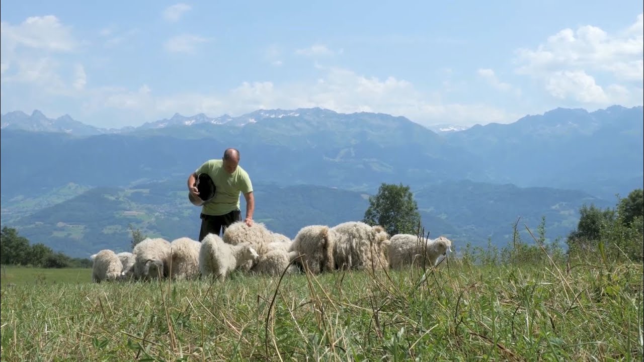 Websérie : Made in Plateau des Petites Roches - Le Mohair des Petites Roches