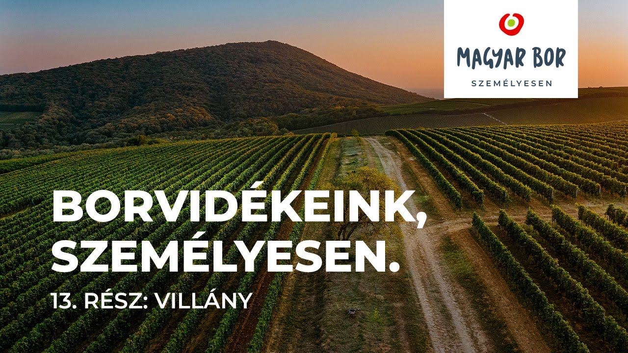 Borvidékeink, személyesen. 14. rész: Villány