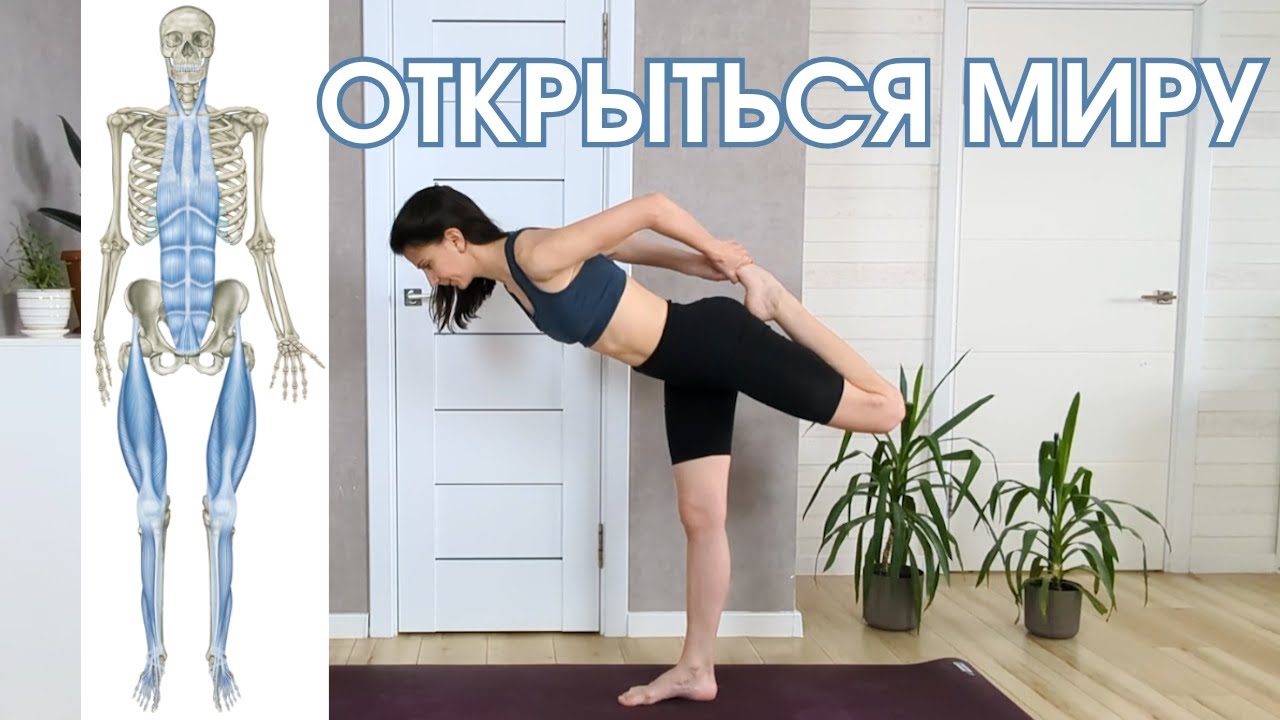 Сказать жизни 