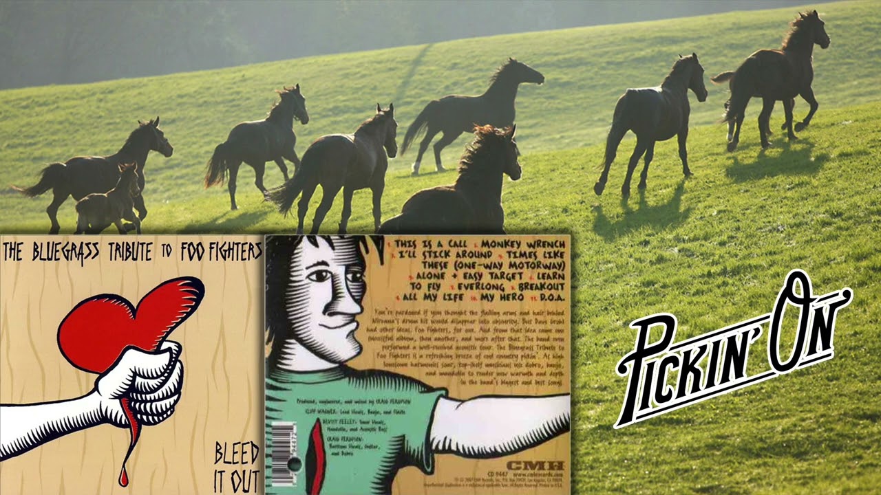 Foo Fighters | Bluegrass Tribute