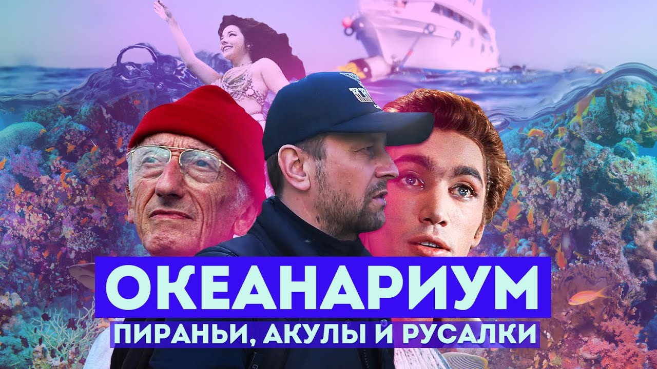 Влог #104: СОЧИ | Океанариум Sochi Discovery World Aquarium