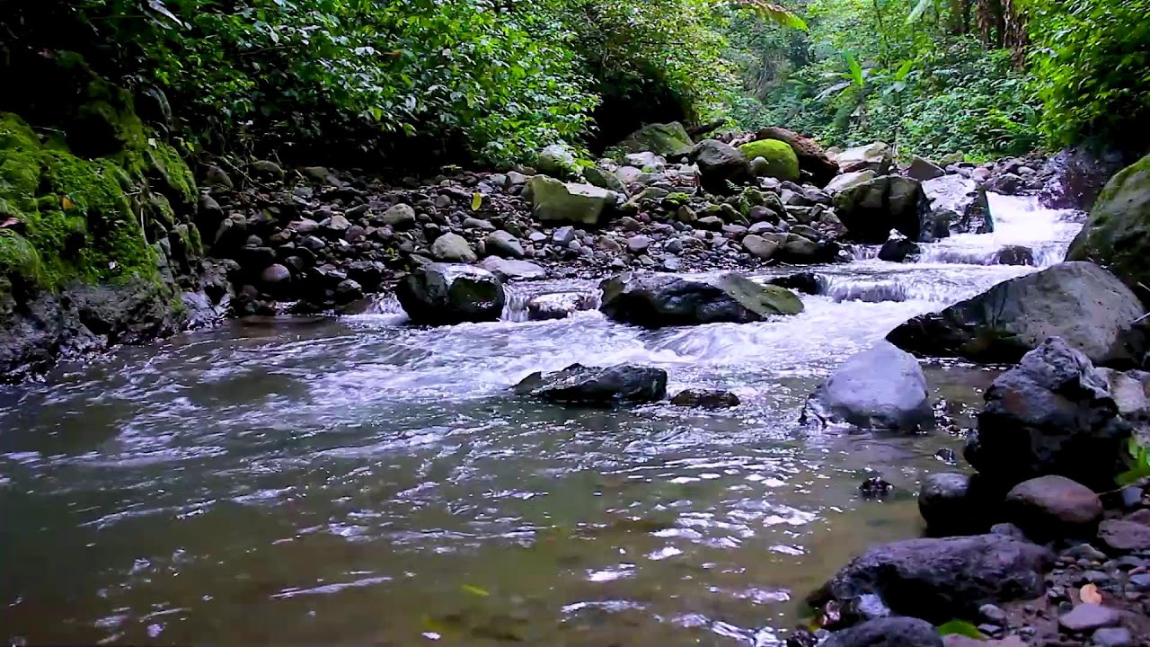 Deep Sleep Therapy with Peaceful River Water | Calm Flowing White Noise at Night
