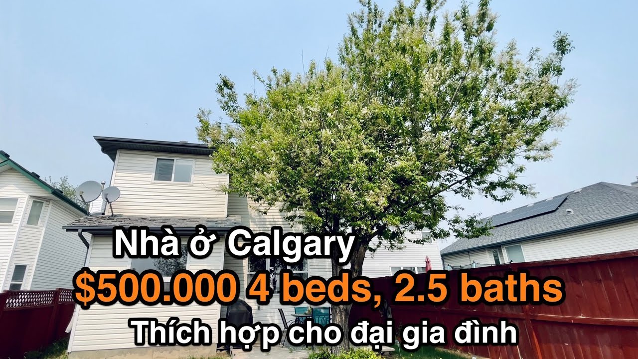 Nhà ở Calgary, xem căn $550.000 4 Beds, 2.5 Baths | Thích hợp cho đại gia đình | Vlog 253