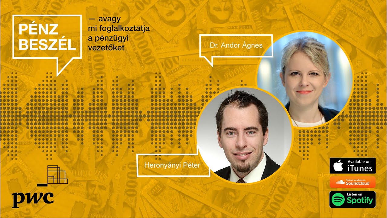 Az energiapiac kih&iacute;v&aacute;sai | P&eacute;nz besz&eacute;l