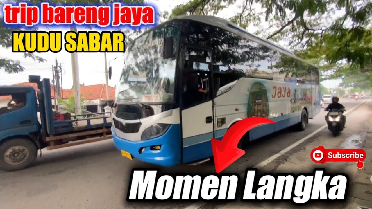 ngetrip bus jaya putih‼️momen naik bus harus sabar sampai tujuan😴.