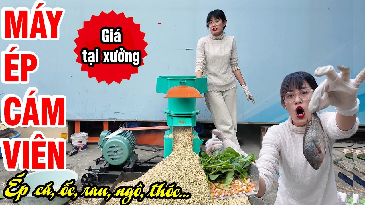 🔥 Tôi Dùng Máy Ép Cám Viên S250 Ép Cá To Và Ốc Bươu Thành Cám Viên VÀ ĐÂY LÀ KẾT QUẢ