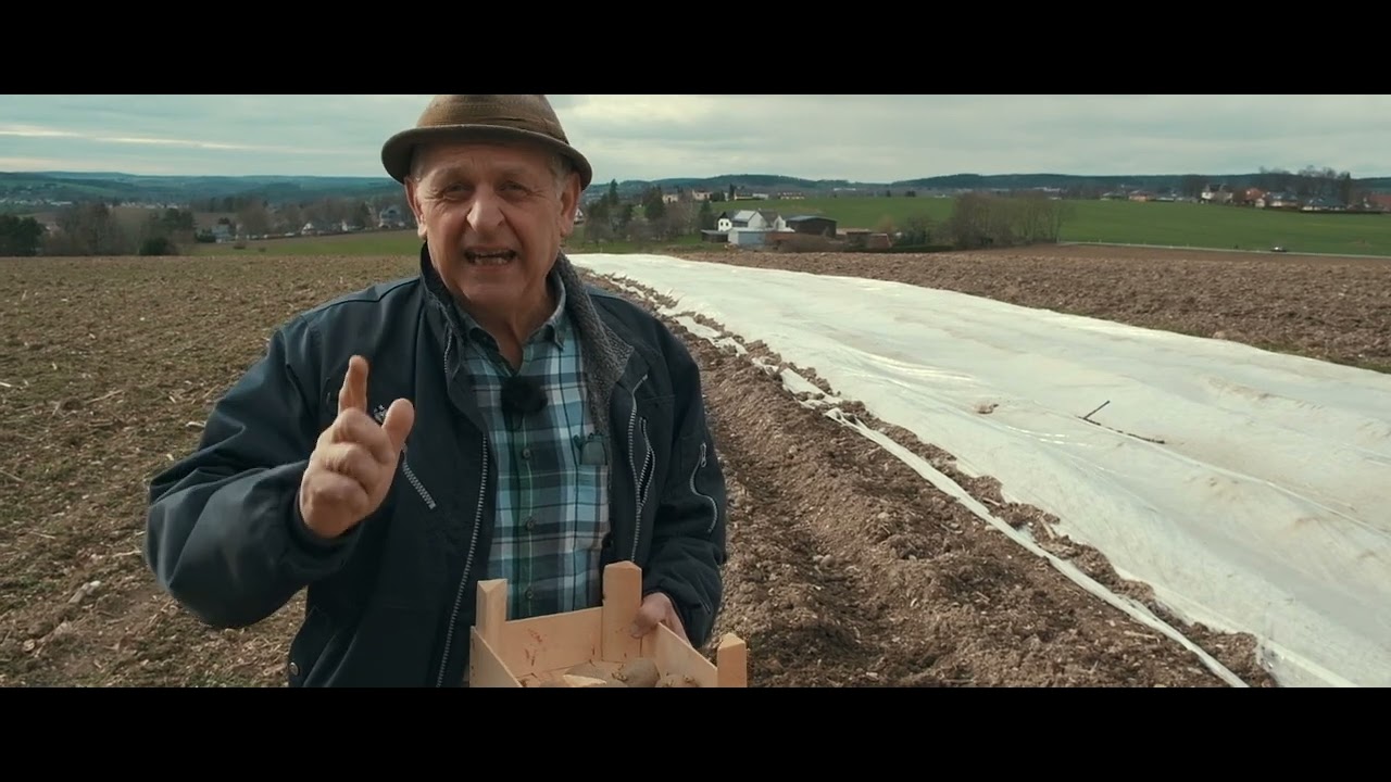 Tipp 2 Legen der Kartoffeln