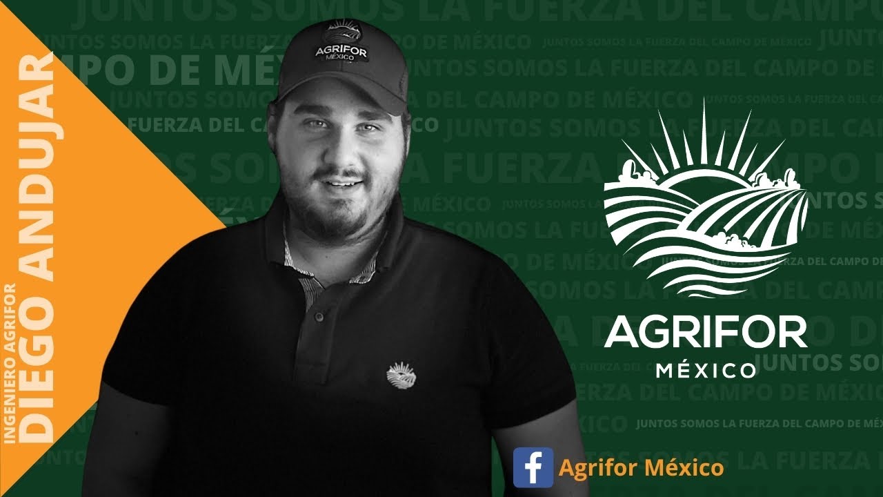 DESTRUYE EL GUSANO SOLDADO DE TUS CULTIVOS