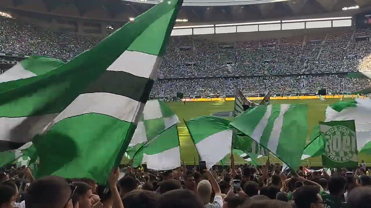 Grada de animación (La Cartuja)