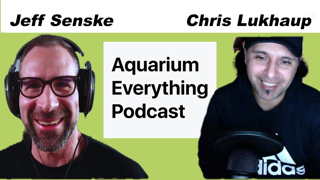 Episode 2: Chris Lukhaup