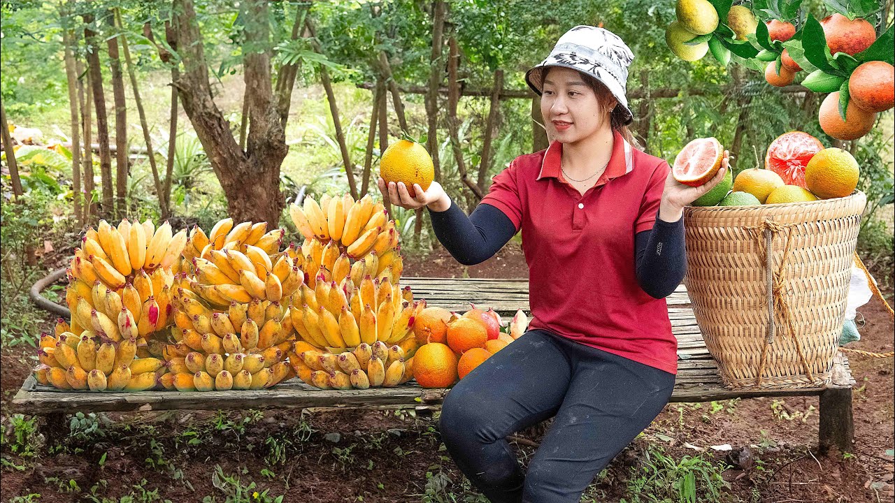 How Lucia Harvesting Bananas and Oranges to Sell at the Country Market | Lucia's Daily Life
