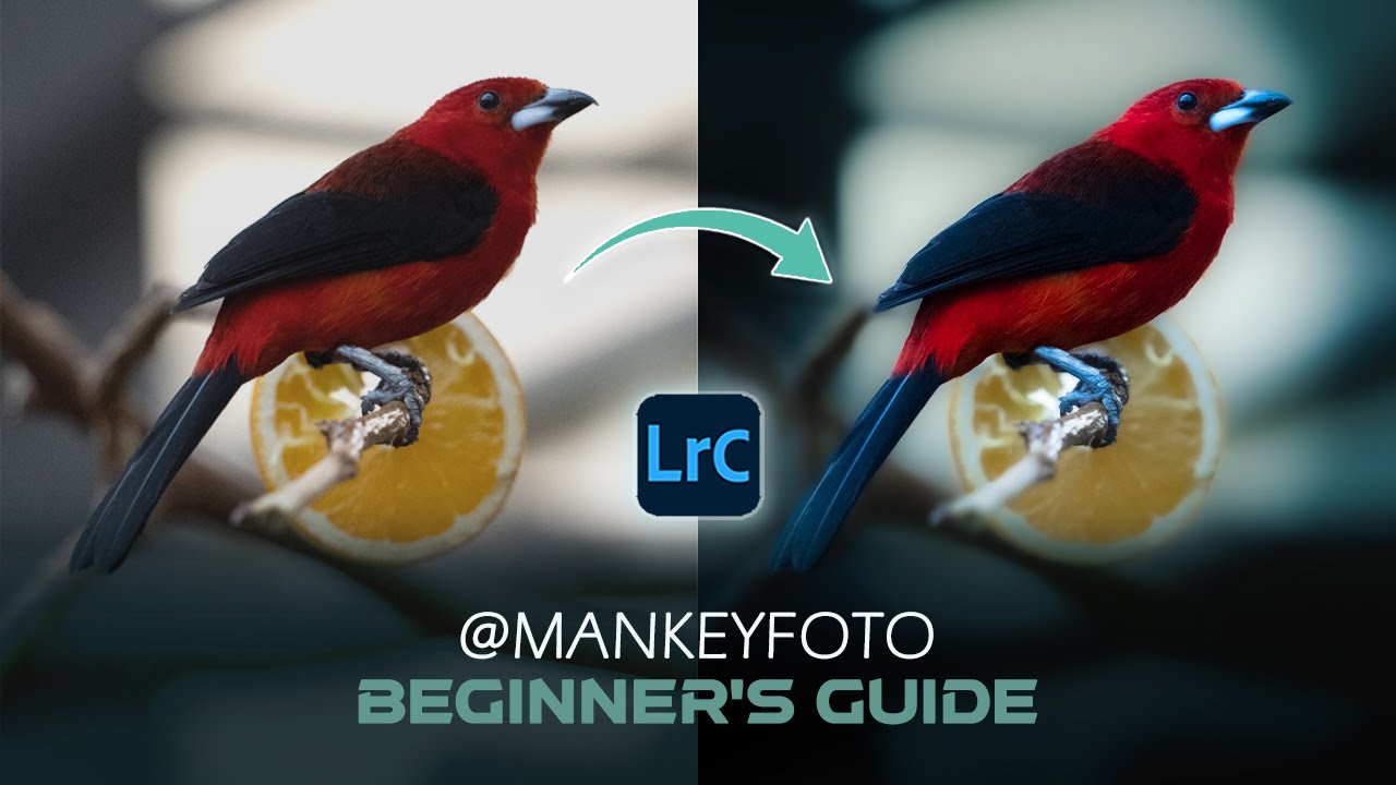 MANKEYFOTO style for BEGINNERS!