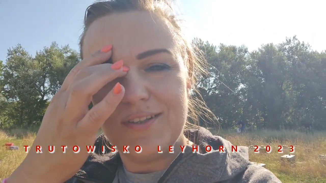 Trutowisko Leyhorn 2023 - tak powstają matki hodowlane - reprodukcyjne Buckfast - pawluk.net.pl