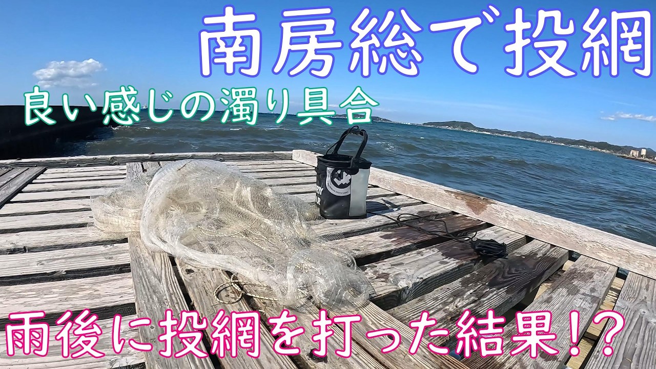 【投網】雨後の濁りを狙って南房総に投網を打ちに行った結果はいかに！？【春の海】