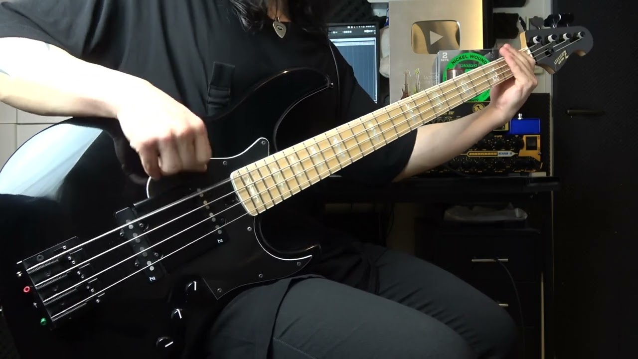 【Red Hot Chili Peppers】「Stone Cold Bush」を真面目に弾いてみた【Bass cover】