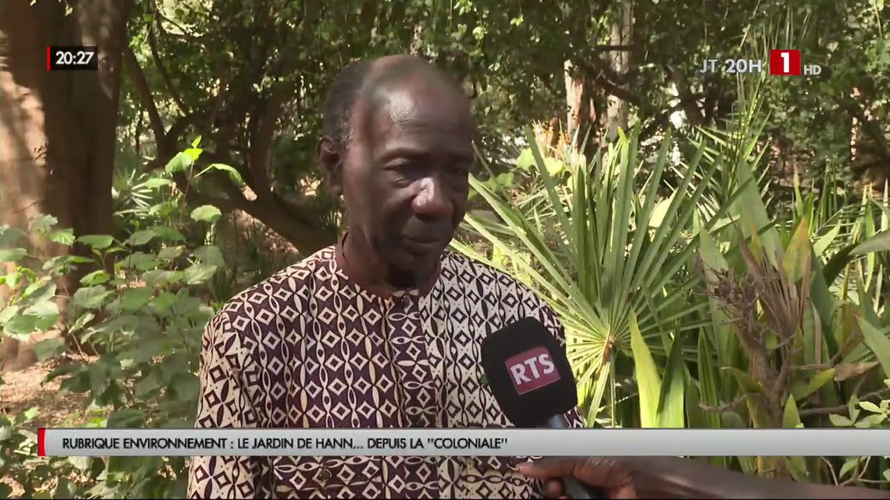 RUBRIQUE ENVIRONNEMENT : Le jardin de HANN… depuis la « coloniale »