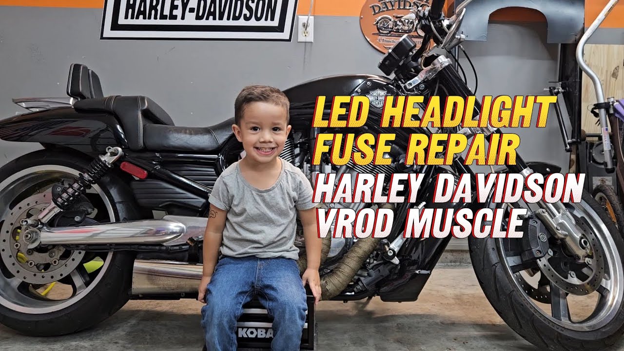 LED headlight fuse repair Harley Davidson Vrod Muscle