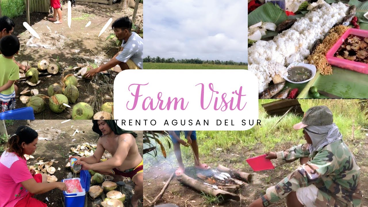 VISITING FARM | TRENTO AGUSAN DEL SUR