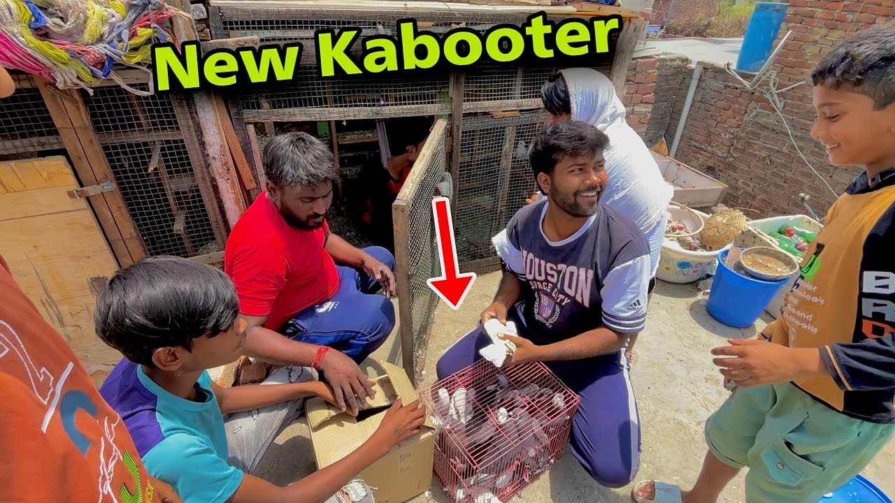 New Kabooter Le Aaya Aaj 🤑|