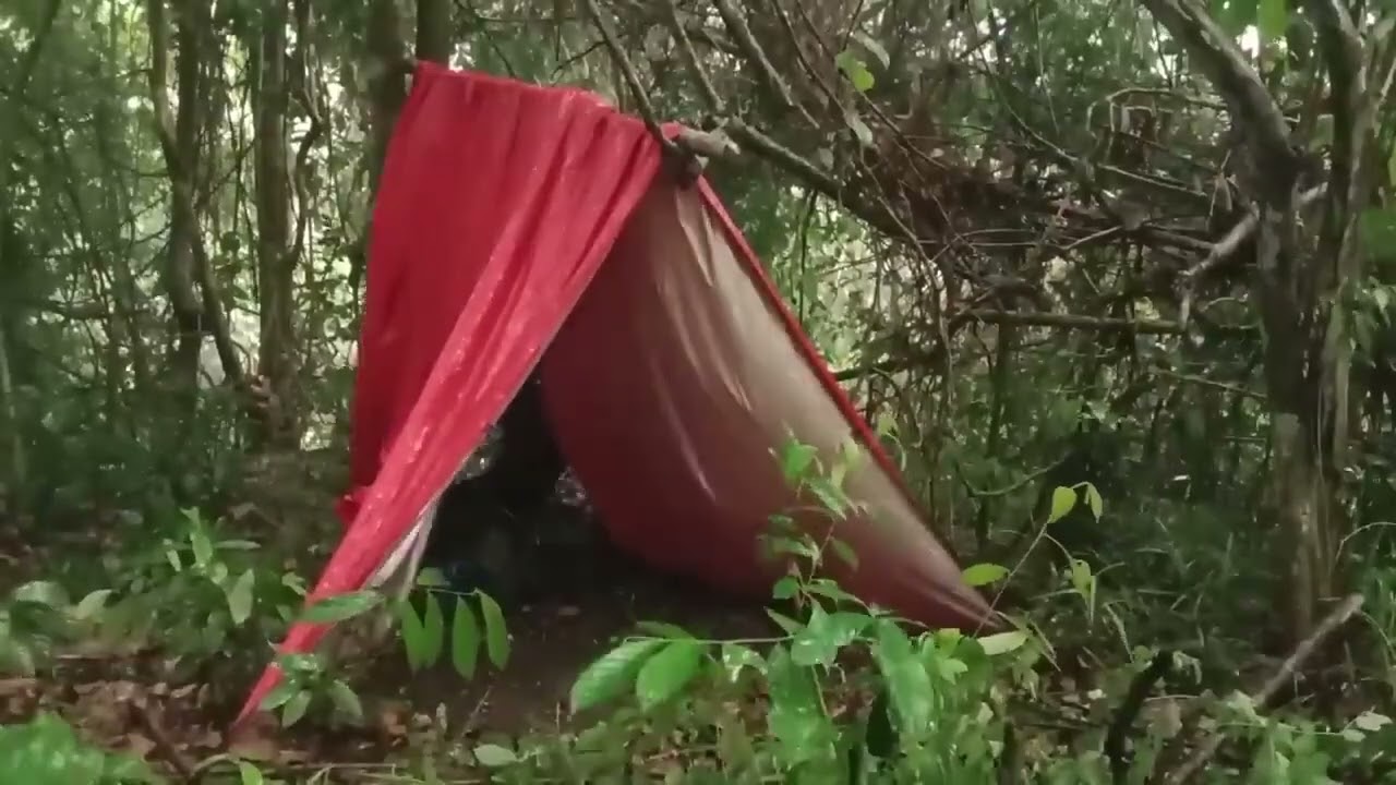 Berkemah membangun sheltersederhana tempat berlindung semalaman menikmati keindahan alam malam hutan