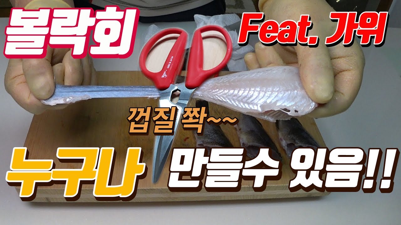 여러분도 볼락 회 뜨기 쉽게 할 수 있습니다 (Feat.가위) 볼락 루어로 감성돔 낚시가 힘듬 [박과장TV]