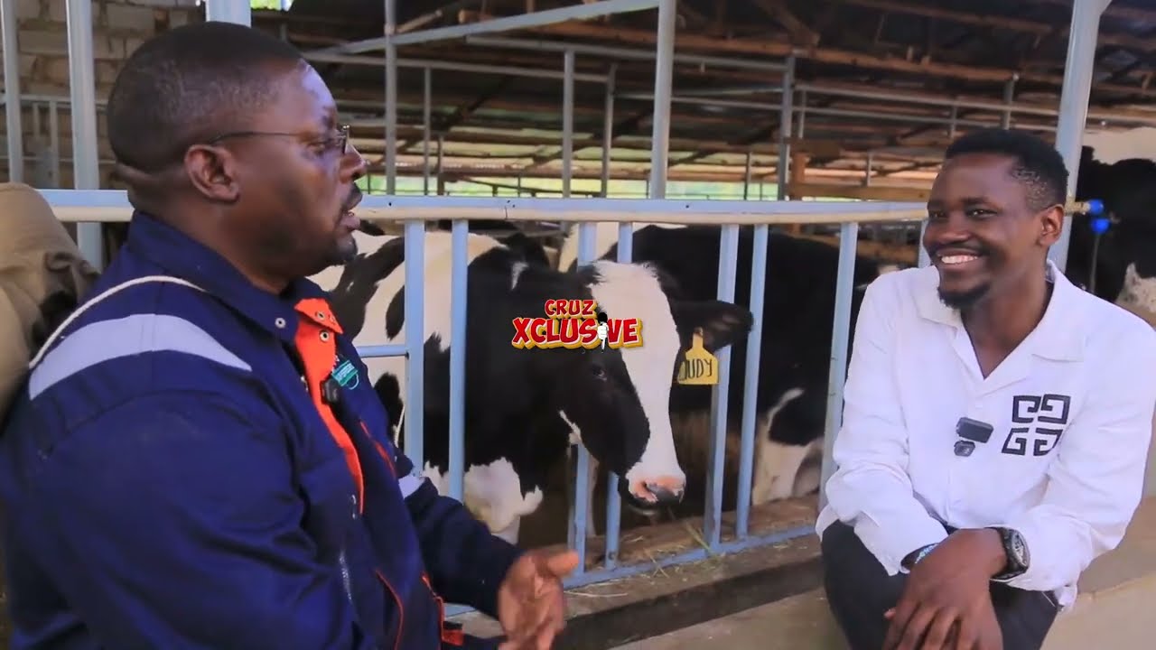 EKYEYO KILUNDEMU ENTE TOGENDA KWEJUSA LABA OBUGAGA BWENINA KATI BANANGE 