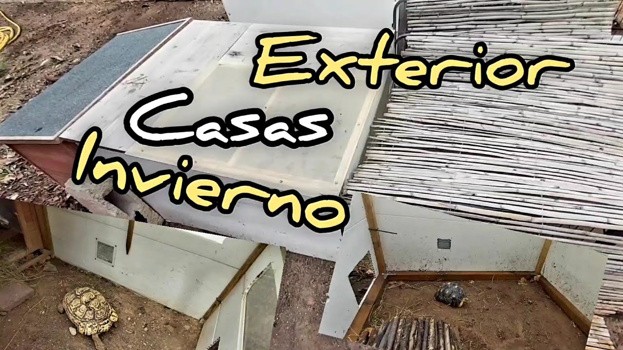 como hacer casetas con calor luz UVB para sulcatas pardalis aldabra radiata morrocoy