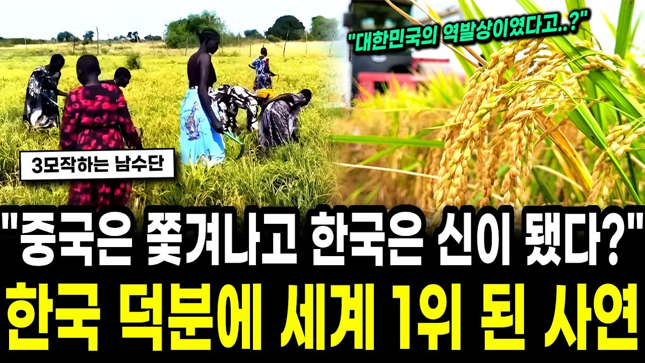 "중국은 쫓겨나고 한국은 신이 됐다?" 전 세계가 포기한 남수단, 한빛부대 기적에 발칵