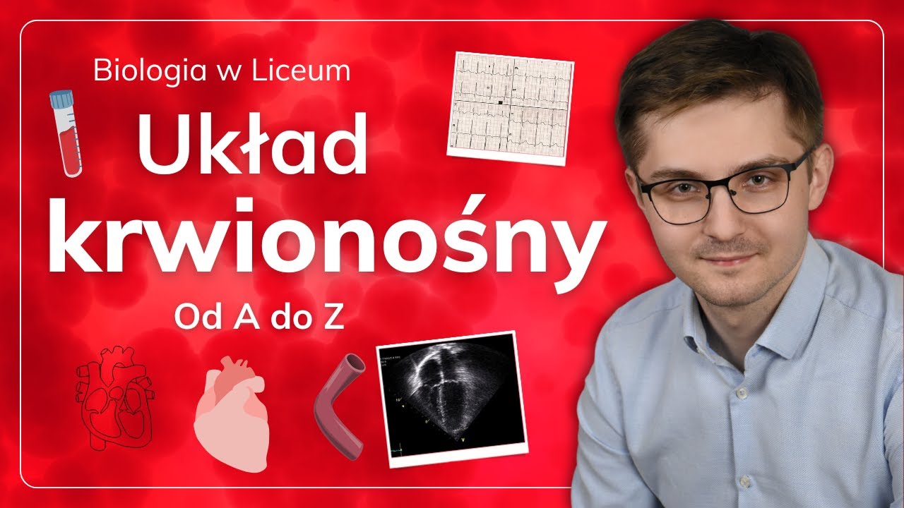 Układ krwionośny od A do Z