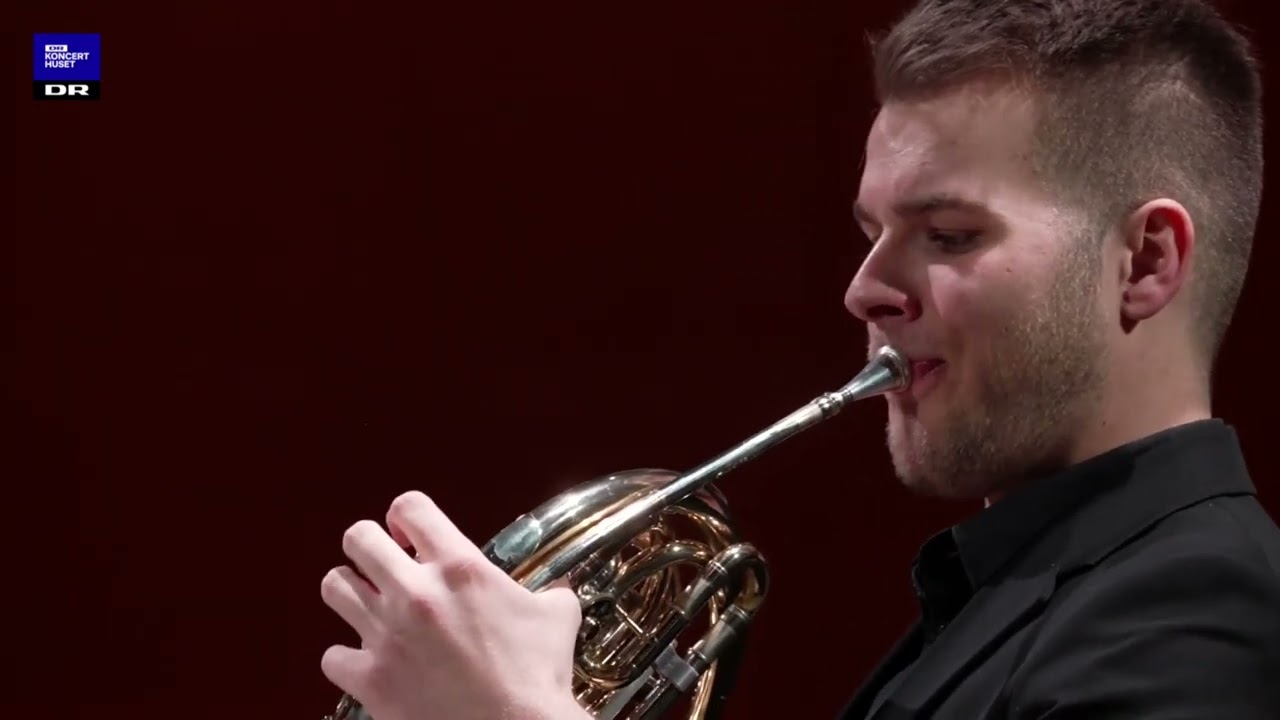 Antonín Dvořák - American Quartet Op. 96 No. 12 (Alinde Quintet)