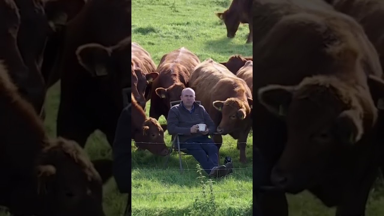 This man is living his best life 😌