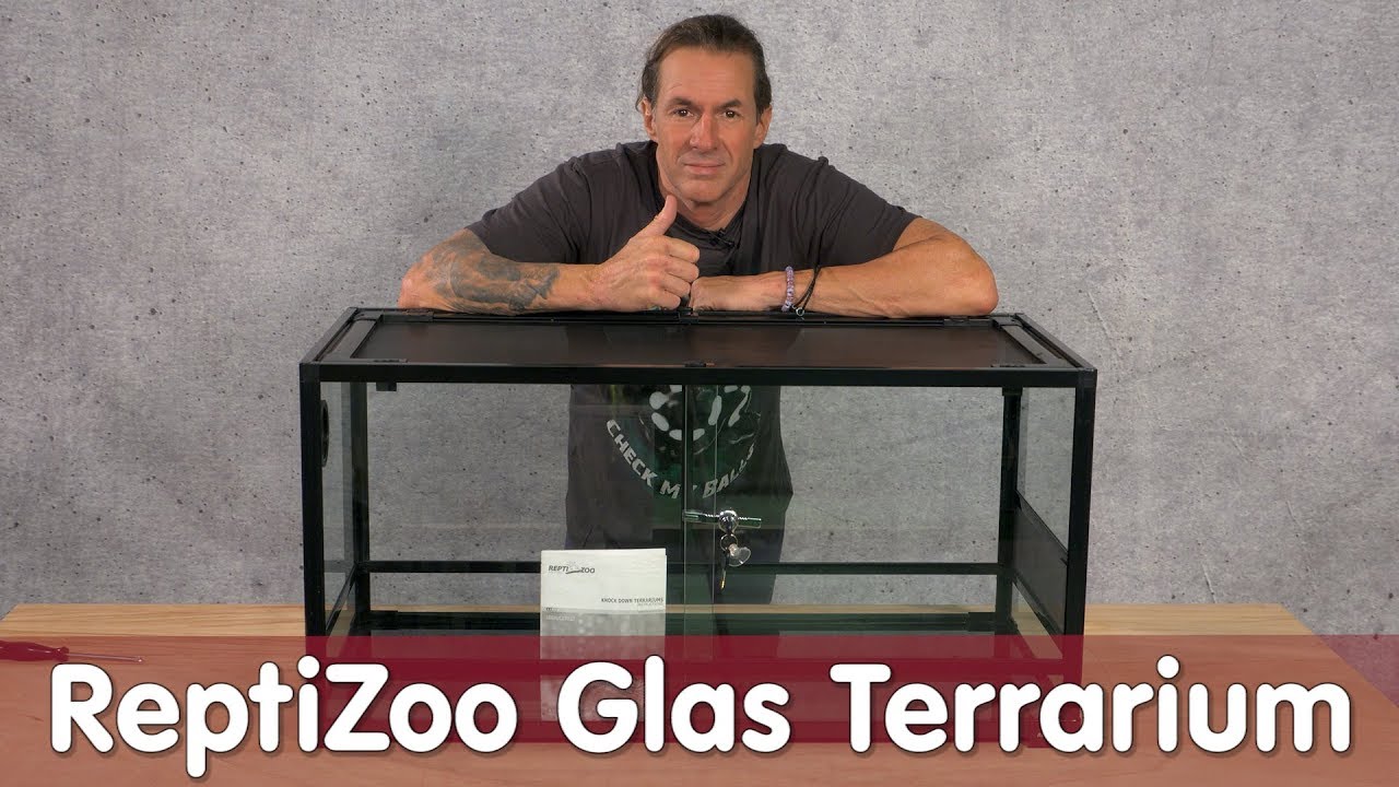 ReptiZoo Glas Terrarium | Aufbau Anleitung | M&S Reptilien