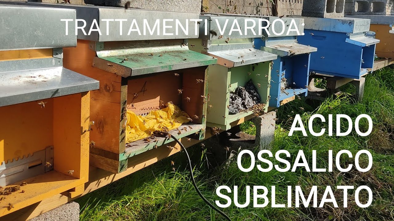 TRATTAMENTI CONTRO LA VARROA: ACIDO OSSALICO SUBLIMATO!!!