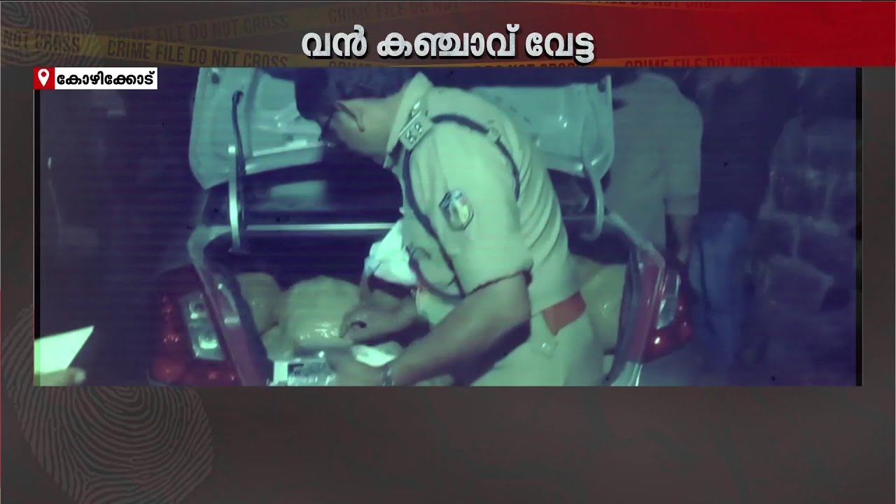 കോഴിക്കോട് വൻ കഞ്ചാവ് വേട്ട; രണ്ട് ഇടങ്ങളിൽ നിന്നായി 76 കിലോ കഞ്ചാവ് പിടികൂടി
