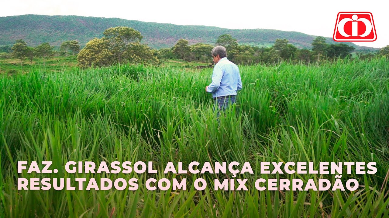 Fazenda Girassol destaca os ótimos resultados com o Mix Cerradão