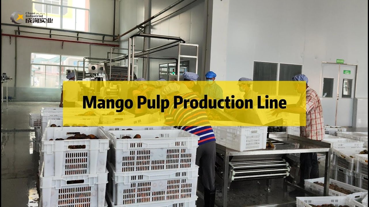 Mango Pulp Production Line 101: everything you wanted to know