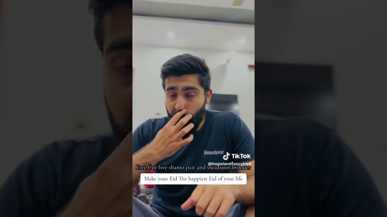 #freeshamo #giftshamo #ShamoLover #shamobird #ramzanmubarak2024 #ramzanoffers #ramzangifts #viral