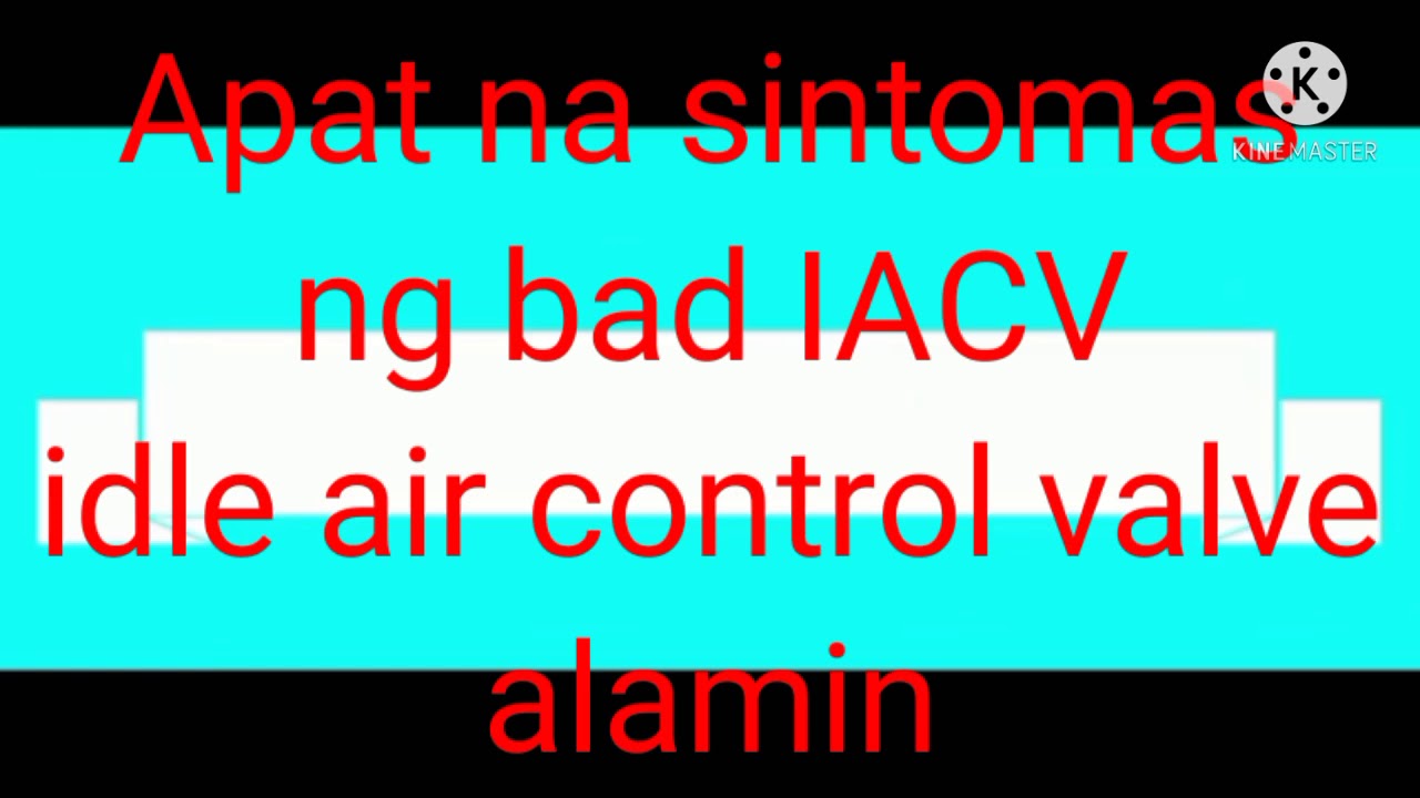 ECU TYPE ENGINE OR SEMI.. IDLE AIR CONTROL VALVE BAD SYMPTOMS