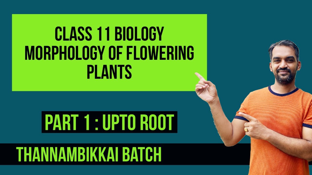 Morphology of Flowering Plants class 11 | Part 1 | NCERT line to line | Thannambikkai batch