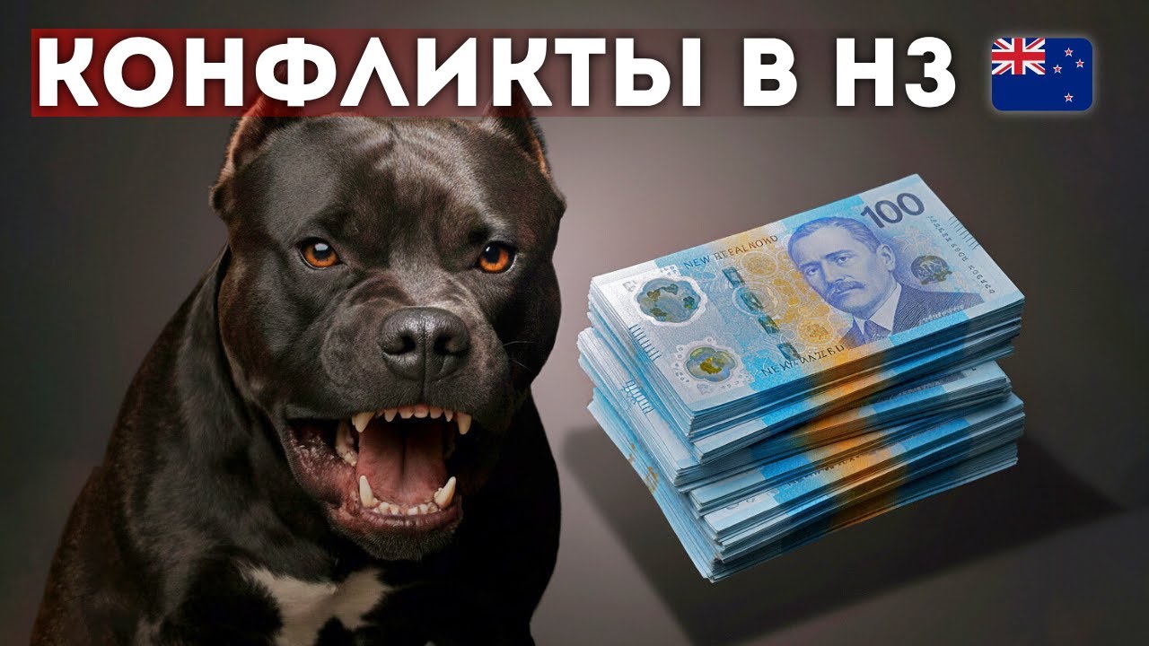 Cкандалы, которые я видел после переезда